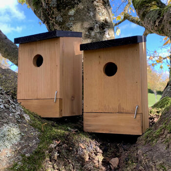 Set Of Four Traditional Wooden Bird Nest Boxes, 3 of 6