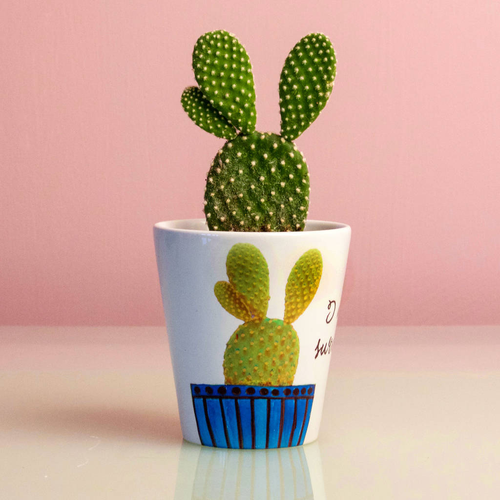 personalised cactus  plant pot  by snapdragon 