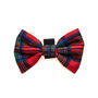 Funk The Dog Bowtie Red Traditional Tartan, thumbnail 1 of 2
