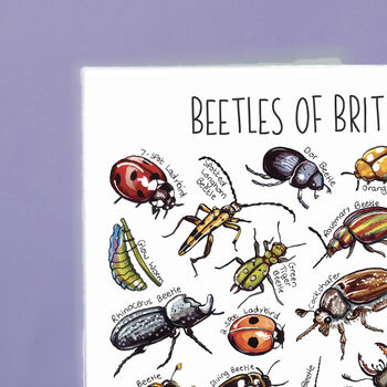 Beetles Of Britain Greeting Card, 2 of 7