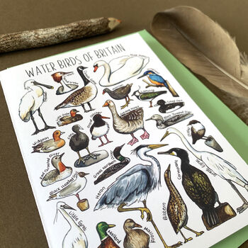 Water Birds Of Britain Greeting Card, 8 of 12