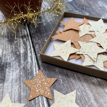 Stars Seed Paper Festive Letterbox Gift, 2 of 7