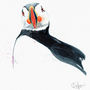 Inky Puffin Illustration Print, thumbnail 9 of 12