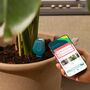 Smartyplants Single Monitor For Healthy Plants Perfect For Plant Lovers, thumbnail 1 of 5