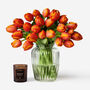 Persimmon Dutch Tulip Fresh Bouquet, thumbnail 1 of 2