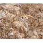 Cannes D'or Gold Ombré Vintage Pavé Row Charm Bangle, thumbnail 2 of 4