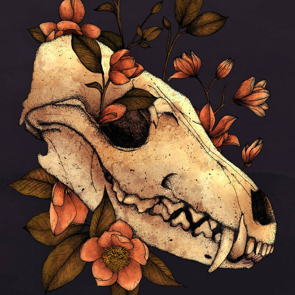 Fox Skull Gicl E Art Print By Print Is Dead Notonthehighstreet Com   Original Fox Skull Giclee Art Print 