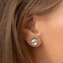 Swarovski Crystal Stud Earrings, thumbnail 4 of 6