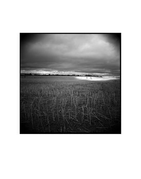 Crop Field, Suffolk Photographic Art Print, 3 of 4