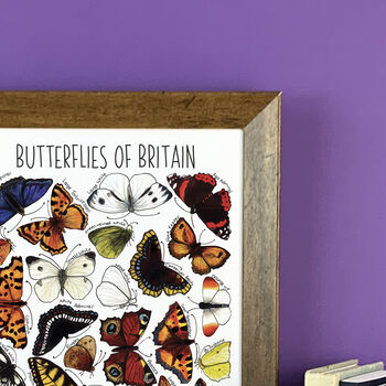 Butterflies Of Britain Wildlife Watercolour Print, 6 of 7