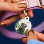 Personalised Foggy Forest Dog ID Tag, thumbnail 9 of 12