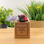 Bugs And Kisses On Your Birthday Tiny Little Gifts, thumbnail 1 of 3
