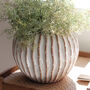 Large Ribbed Round Ceramic Vase, thumbnail 4 of 4