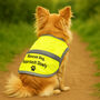 Fully Personalised Behavioural Reflective Dog Hi Vis Safety Coat, Create Your Own Message, thumbnail 1 of 9