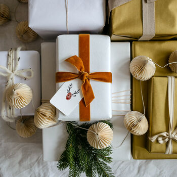 Make Your Own Christmas Reindeer Gift Tag Making Kit, 5 of 9