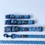 Blue Animal Print Dog Puppy Collar And Lead Set, thumbnail 1 of 9