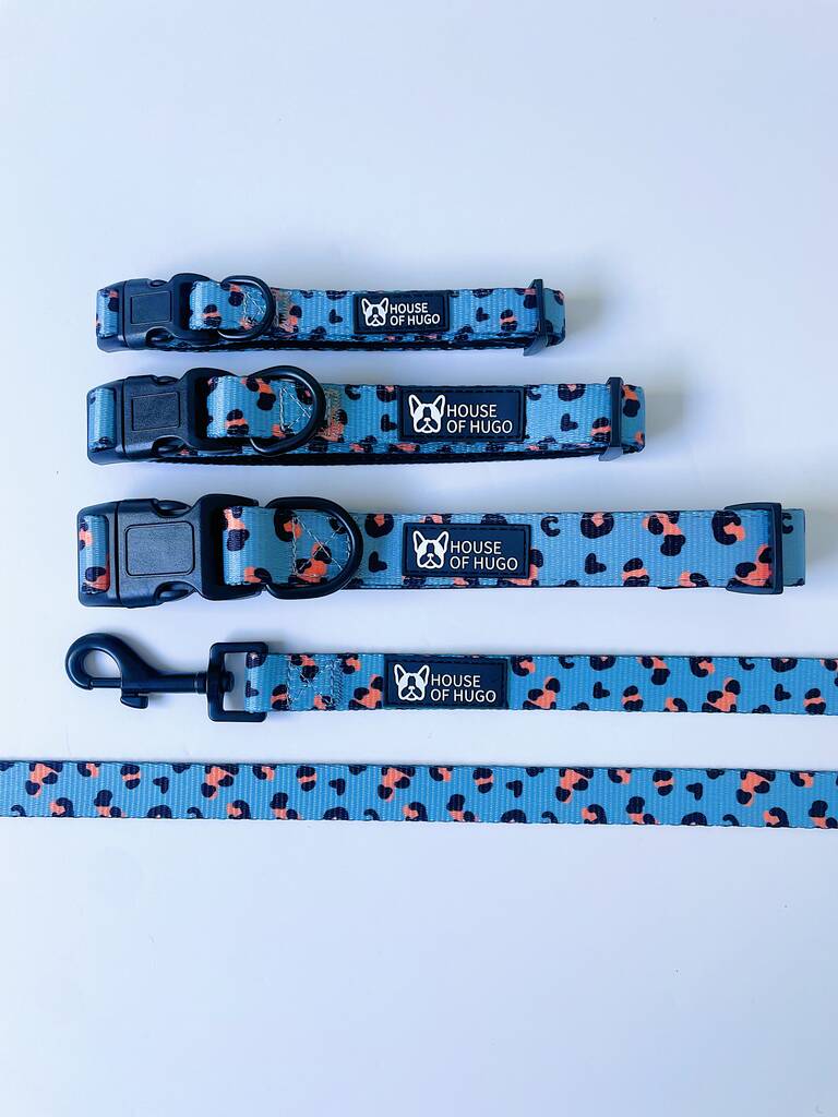 Blue Animal Print Dog Puppy Collar And Lead Set, 1 of 9