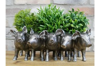 Five Pig Family Planter – 30cm Decorative Flower Pot, 6 of 6