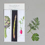 Botanical Bookmarks With Vegetable Illustrations, thumbnail 2 of 6