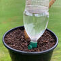 Eight Bottle Irrigation Spikes And Watering Nozzle Kit, thumbnail 6 of 8