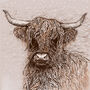 'Highland Cow' Print, thumbnail 3 of 3