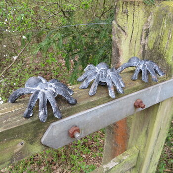 Set Of Three Cast Iron Tarantulas, 6 of 7