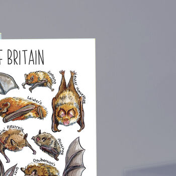 Bats Of Britain Greeting Card, 5 of 7