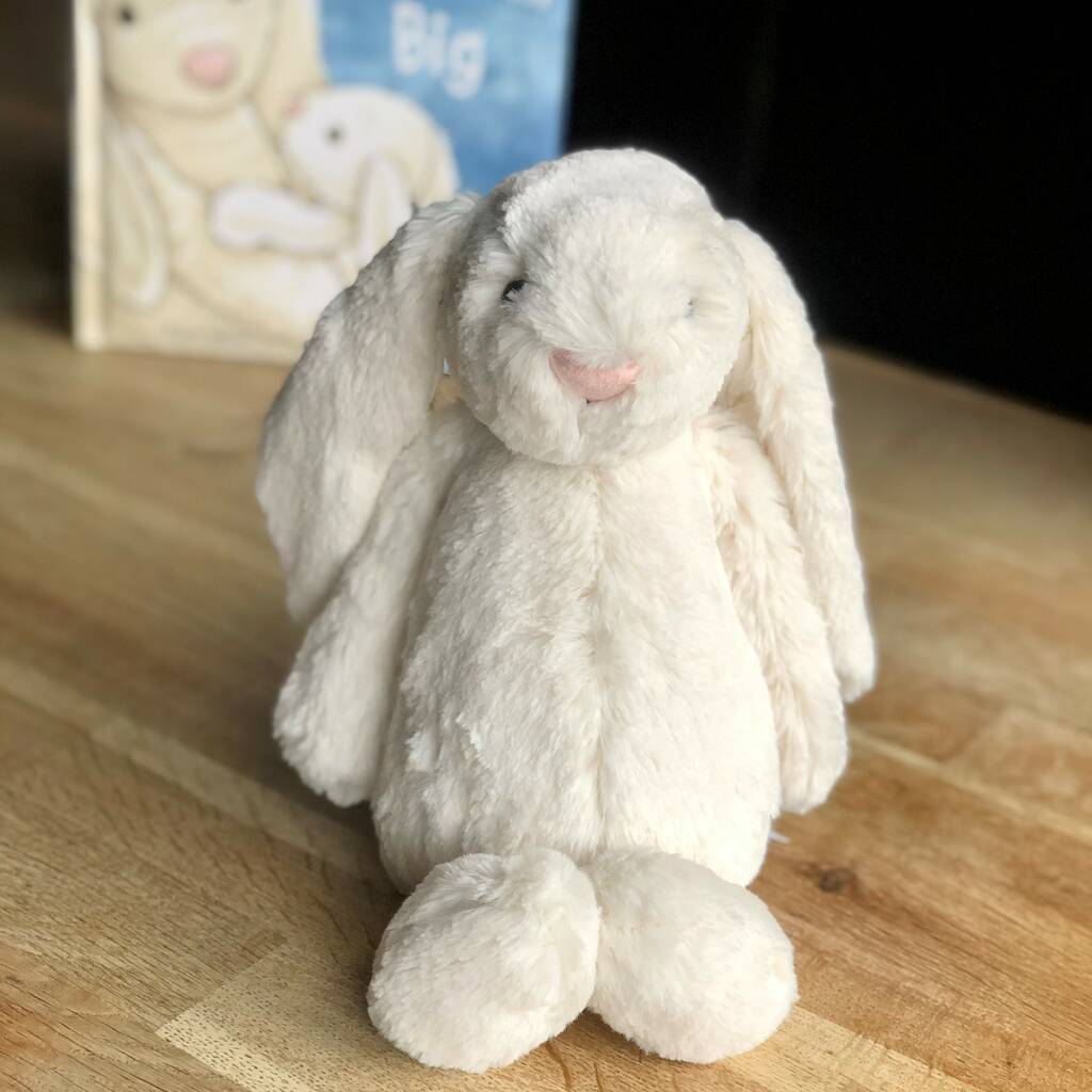 When I Grow Up Book And Matching Bunny Soft Toy By The ...