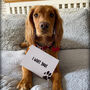 I Am Dog! Doggy Photo Prop Milestone Cards, thumbnail 2 of 5