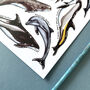 Dolphins Of Britain Watercolour Postcard, thumbnail 9 of 12