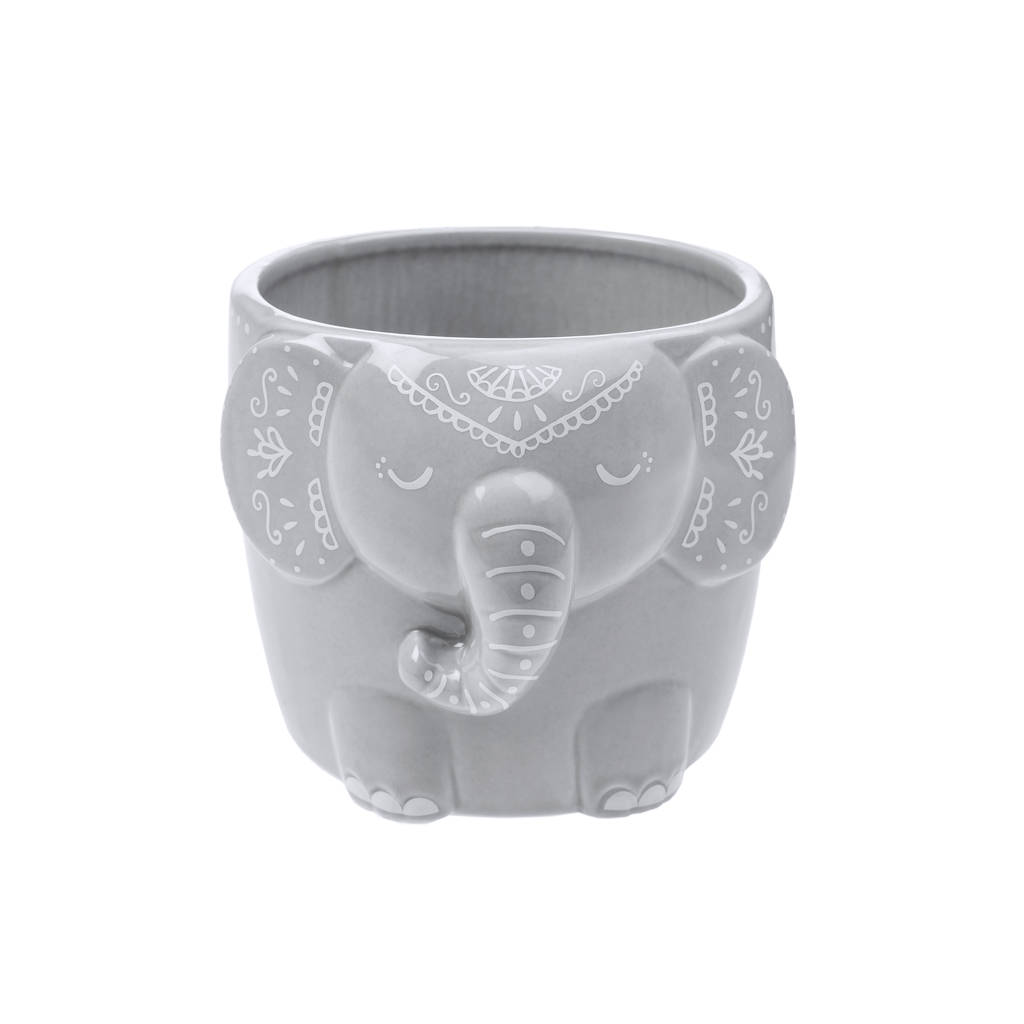 Grey Elephant Planter With Choice Of Succulent By DingaDing