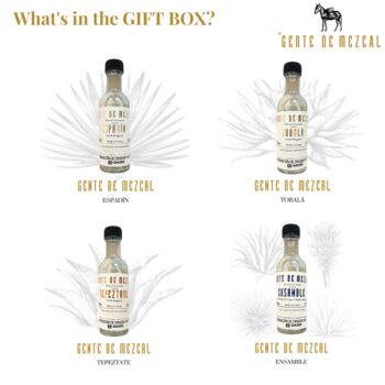 Mezcal Miniatures Recycled Card Gift Box, 5 of 5