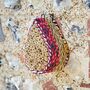 Teardrop Recycled Cotton Insect And Bee House, thumbnail 3 of 3