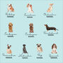 Dachshund/Sausage Dog Mama T Shirt, thumbnail 2 of 2