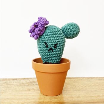 Personalised Cotton Crochet Cranky Cactus Plant, 3 of 5