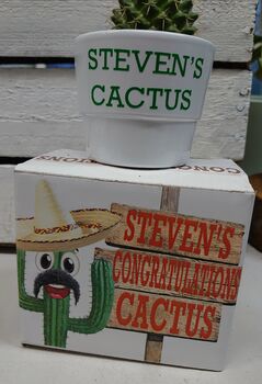 Personalised Cactus, 3 of 10