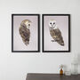 Pair Of Barn Owl Prints, thumbnail 1 of 6