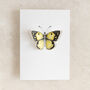 Yellow Watercolour Butterfly Pop Out Card, thumbnail 3 of 3