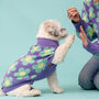 Purpleflower Owner Dog Matching Jumper Set, thumbnail 2 of 5