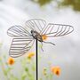 Pepem Metal Butterfly Garden Stake Decoration, thumbnail 1 of 6
