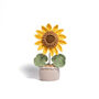 Large Plant Pot Collection, thumbnail 1 of 9