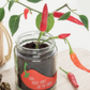 Personalised 'Don't Kill Me' Chilli Jar Grow Kit, thumbnail 7 of 10