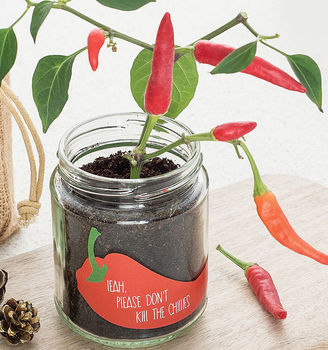Personalised 'Don't Kill Me' Chilli Jar Grow Kit, 7 of 10