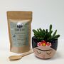 Plant Your Own Succulent Kit With Frida Pot, thumbnail 2 of 5