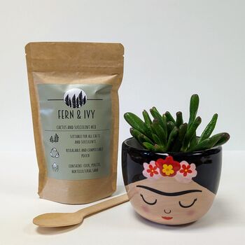 Plant Your Own Succulent Kit With Frida Pot, 2 of 5