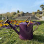 Perfectly Purple With Copper Trim Watering Can Duo, thumbnail 5 of 9