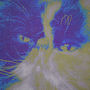 Personalised Knitted Pet Portrait, thumbnail 4 of 5