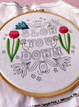 Slow You Down Norfolk Inspired Embroidery Kit, 2 of 5