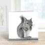 Squirrel Countryside Wildlife Greeting Card, thumbnail 6 of 7