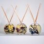 Glass Botanical Reed Diffuser, Rose Or Lavender Scents, thumbnail 1 of 9